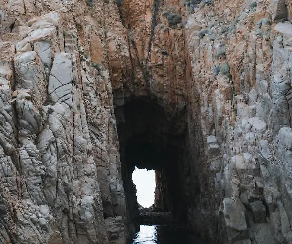 Ideal-subrini Porto (Corsica)